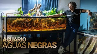 ACUARIO de AGUAS NEGRAS con PECES SALVAJES