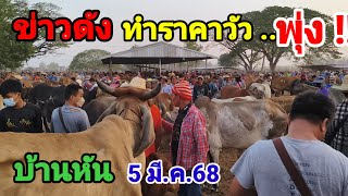 วันนี้ตลาดคึกคักสุดขีด วัวล้นสนาม คนทะลัก