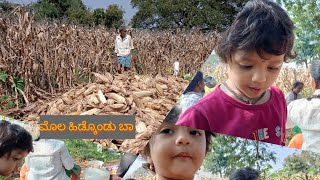 #Kannada BABY Talks# ಜೋಳದ ಗದ್ದೆಯಲ್ಲಿ ಸಿಕ್ಕಿದ ಮೊಲದಮರಿ  ಬೇಕಂತೆ ## babygirl ## kannada#