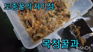 목청꿀 과 토종꿀 차이점#목청#토종꿀