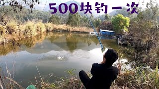 五年没干的池塘，和塘主商量500块钱钓一次，钓的太过瘾啦！