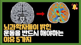 뇌과학 전문가에게 배운 두뇌 키우는 방법 (이렇게 두뇌 활성 안시키면 기억력 나빠지고, 우울증 옵니다)