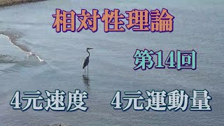 相対性理論　第14回　4元速度　4元運動量