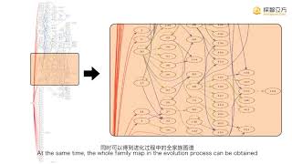 探智立方最终版 中英字幕高清