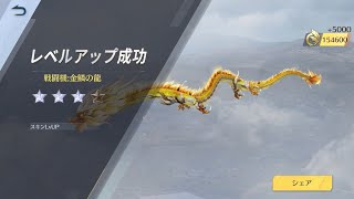 【荒野行動】青雲の龍金ドラゴンするまで回してみた