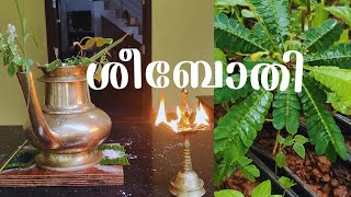 കർക്കിടക മാസത്തിലെ വളരെ വിശേഷപ്പെട്ട ശീപോതി ഒരുക്കൽ!v28