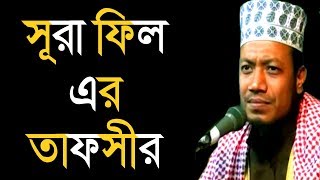 সূরা ফিল, এর তাফসীর  Amir Hamza