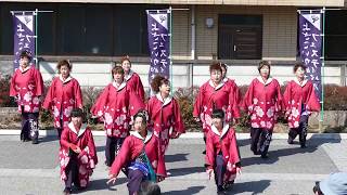 跳弧河童隊／まちの駅 新・鹿沼宿会場／第15回 YOSAKOIかぬまフェスティバル2018‏