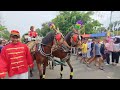 naik kuda kuda delman naik delman istimewa finger family song lagu medley pok ame ame