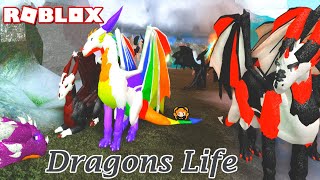 Roblox Dragon S Life Rainbow Dragon And Baby Rainbows - roblox dragons life cool skin ideas