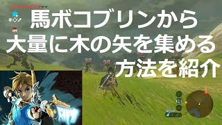 ゼルダの伝説BotW　10分で100本ゲット！馬ボコブリンから大量に木の矢を集める方法！【ゼルダの伝説】【ブレスオブザワイルド】【ゲーム】