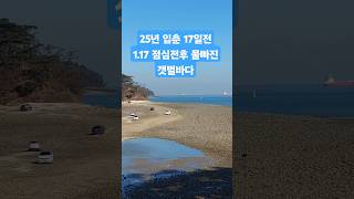 25년 입춘 17일전1.17 점심전후 물빠진 갯벌바다