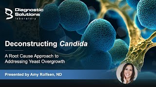 Deconstructing Candida - A Root Cause Approach to Addressing Yeast Overgrowth