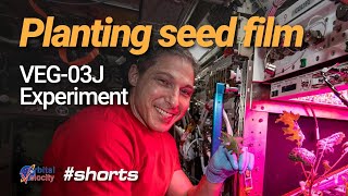 Astronaut plants romaine lettuce using new seed film | #shorts