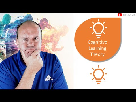 What are the principles of cognitive learning theory?
