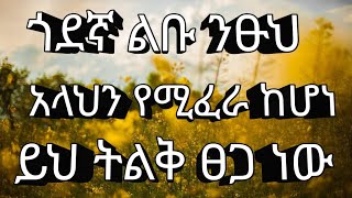 ጎደኛ ለቡ ንፁህ ከሆነ  አላህን ከፈራ ይህ ትልቅ ፀጋ ነው