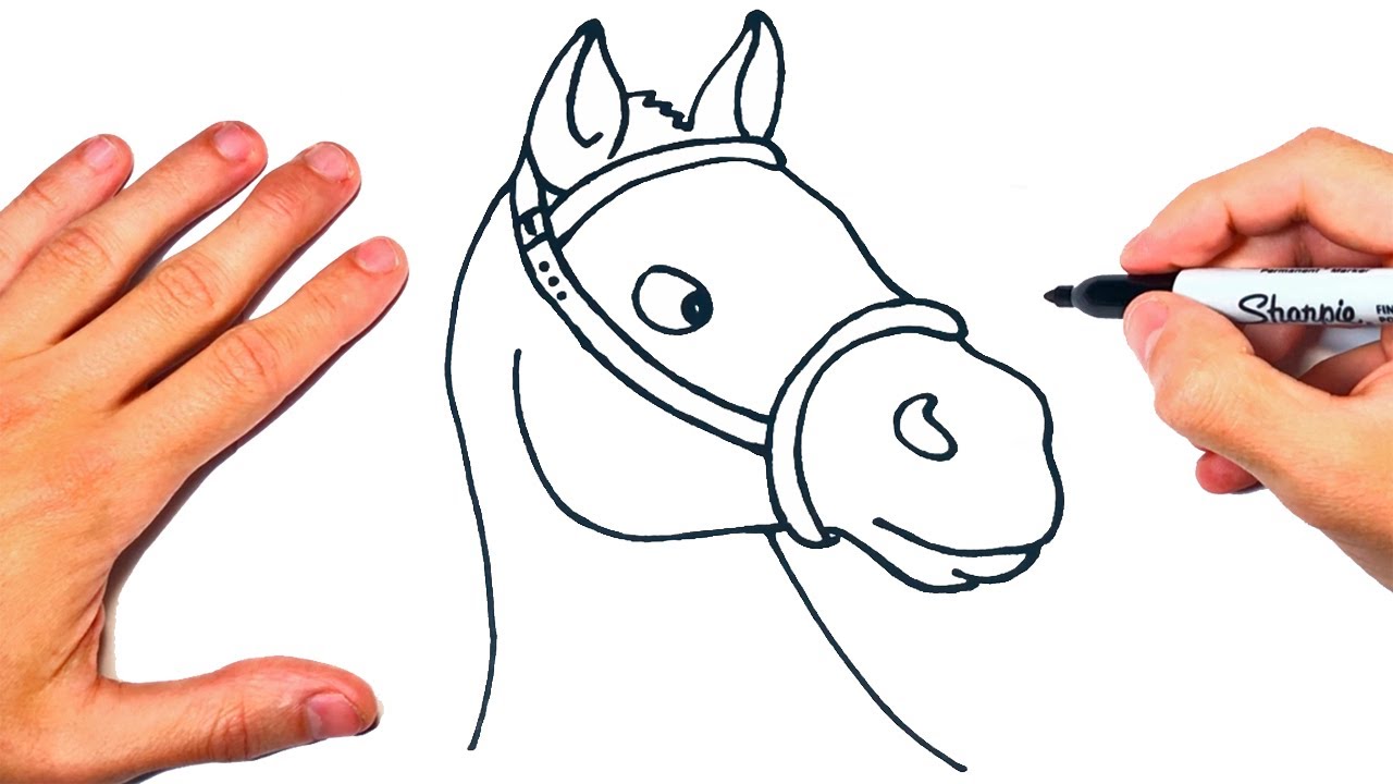 Como Dibujar Un Caballo Paso A Paso Con Imagenes