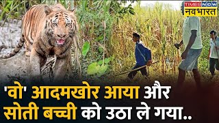 Bihar के Bagaha में बढ़ रहा 'Tiger Terror', ग्रामीणों में दशहत का माहौल | Hindi News | Bagaha News