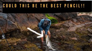 This Could Be the Best Pencil Popper #fishing #stripedbass #fish #bassfishing #stripedbassfishing