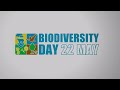 message from the director of unep wcmc on biodiversity day 2022