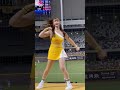 20240803 中信兄弟 短今 詹子賢應援曲 fancam