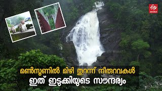 മൺസൂണിൽ മിഴി തുറന്ന് നീരുറവകൾ; വെള്ളച്ചാട്ടങ്ങൾ കാണാൻ ഇടുക്കിയിൽ സഞ്ചാരികളേറെ