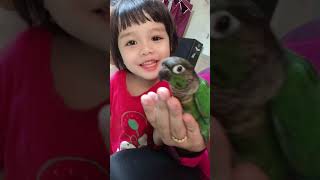 最高で面白いオウムとかわいい鳥の編集（2021）-最もかわいいオウムBest and Funny Parrots and Cute Birds Compilation Cutest Parrots