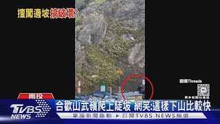 合歡山武嶺爬上陡坡 網笑:這樣下山比較快｜TVBS新聞 @TVBSNEWS01