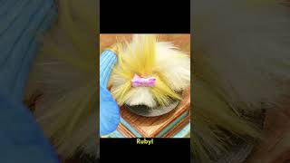 TINY VIRAL TIME DANCE #shorts #dance #viral #tinychef