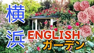 横浜イングリッシュガーデン【20210502】バラ　YOKOHAMA ENGLISH GARDEN/ガーデンネクレス