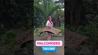 Malcomodes -  Twirl Challenge