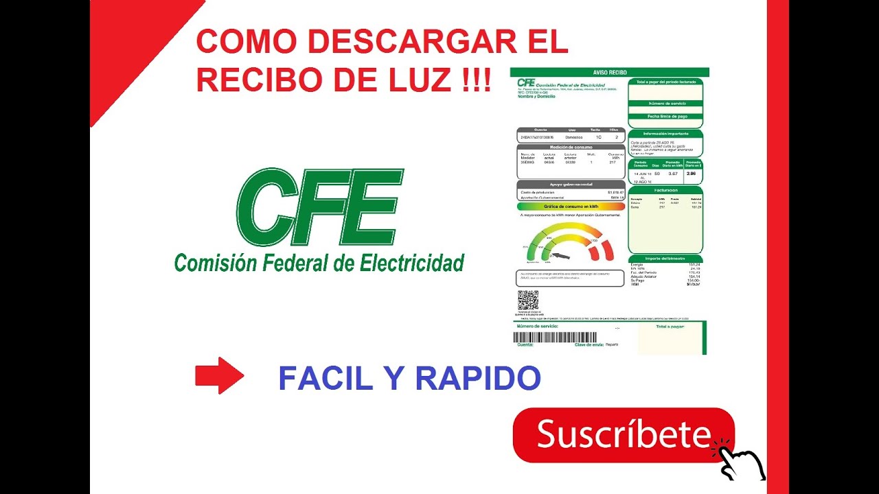 Recibo De Luz Para Editar En 2020 Recibo De Luz Recibo Carta De Www