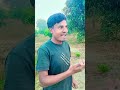 হোলো লো হা হা january 12 2025🥺🥺🥺। funny viralvideo trending shortvideo