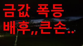 절대갑튜브