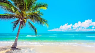 Beach Perfection: White Sandy Beaches & Relaxing Wave Sounds with Bossa Nova Music