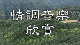 相逢是離別的開始【情調音樂欣賞】