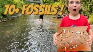 Searching For Shark Teeth and Fossils in Big Brook NJ!