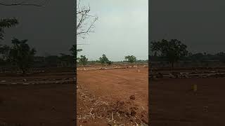 150Sq yards east plot sale in Shadnagar Municipality, Hyderabad