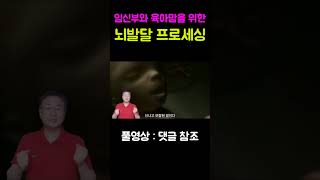 [GB저널] 62편 :  태교와 육아에서의 뇌발달 프로세싱 꿀팁