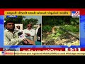 chhota udepur bodeli farmers troubled over not getting power supply during day time tv9news