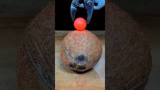 1000°C RHCB vs Cocunut   #satisfying #experiment #science #asmr