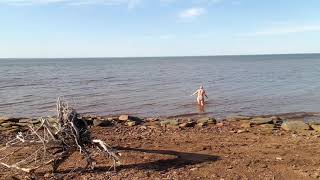 Chilly swim, Baie Verte (Northumberland Strait) March 23 2021