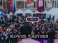 timiley lofi song slowed reverb samirshrestha