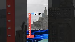 King tides inspire experts exploring climate resilient shorelines