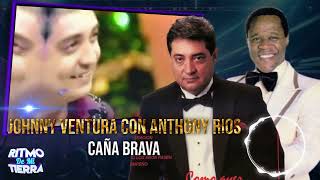 JOHNNY VENTURA con ANTHONY RIOS - Caña Brava  (MERENGUE CLASICO) #añosdorados #merengue