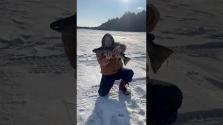 6lb Maine salmon #207 #salmon #maine #icefishing #fyp #foryou #personalbest