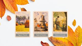 BẠN LÀ SỐ 1 CỦA AI? @ChubbyTarot TAROT READING