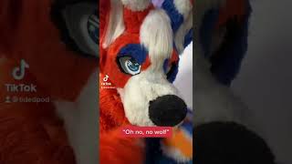Oh no! No woof! #furries #fursuit #fursuiter #fyp #fypシ #furriesoftiktok #furry #furryfandom