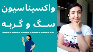 واکسن سگ - واکسن گربه