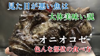 【希少】なかなかお目にかかれない夏が旬のオニオコゼ　余す事なく色んな部位を調理して頂きました